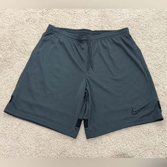 Nike Other - Men Nike Dri-Fit  Charcoal Performance Shorts